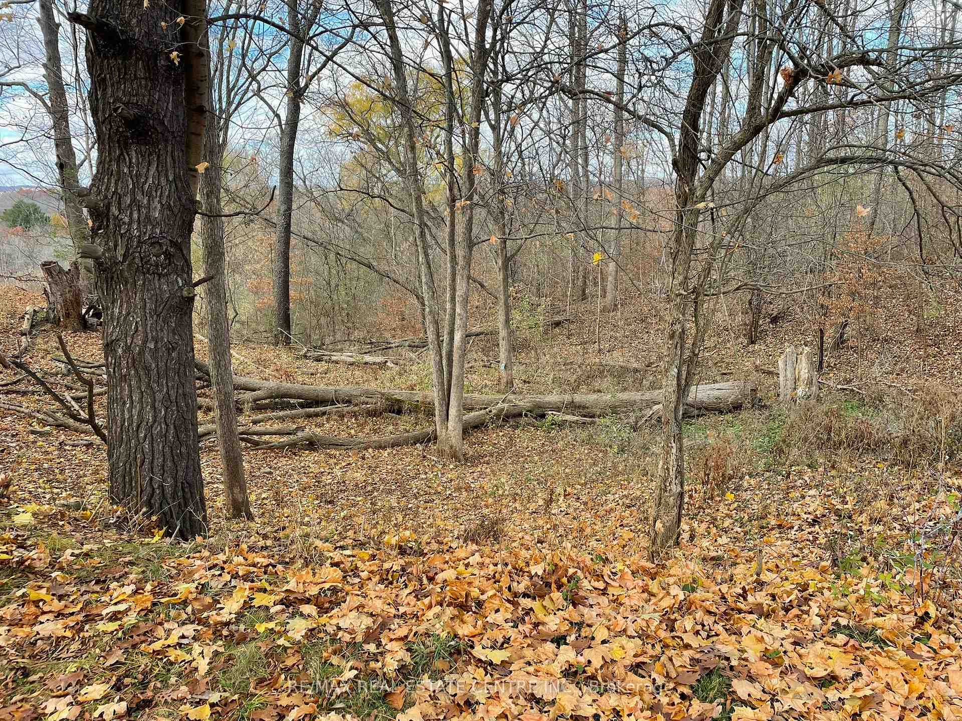 Photo 17 of 716 Artaban Road, Hamilton, Dundas — HOMEH