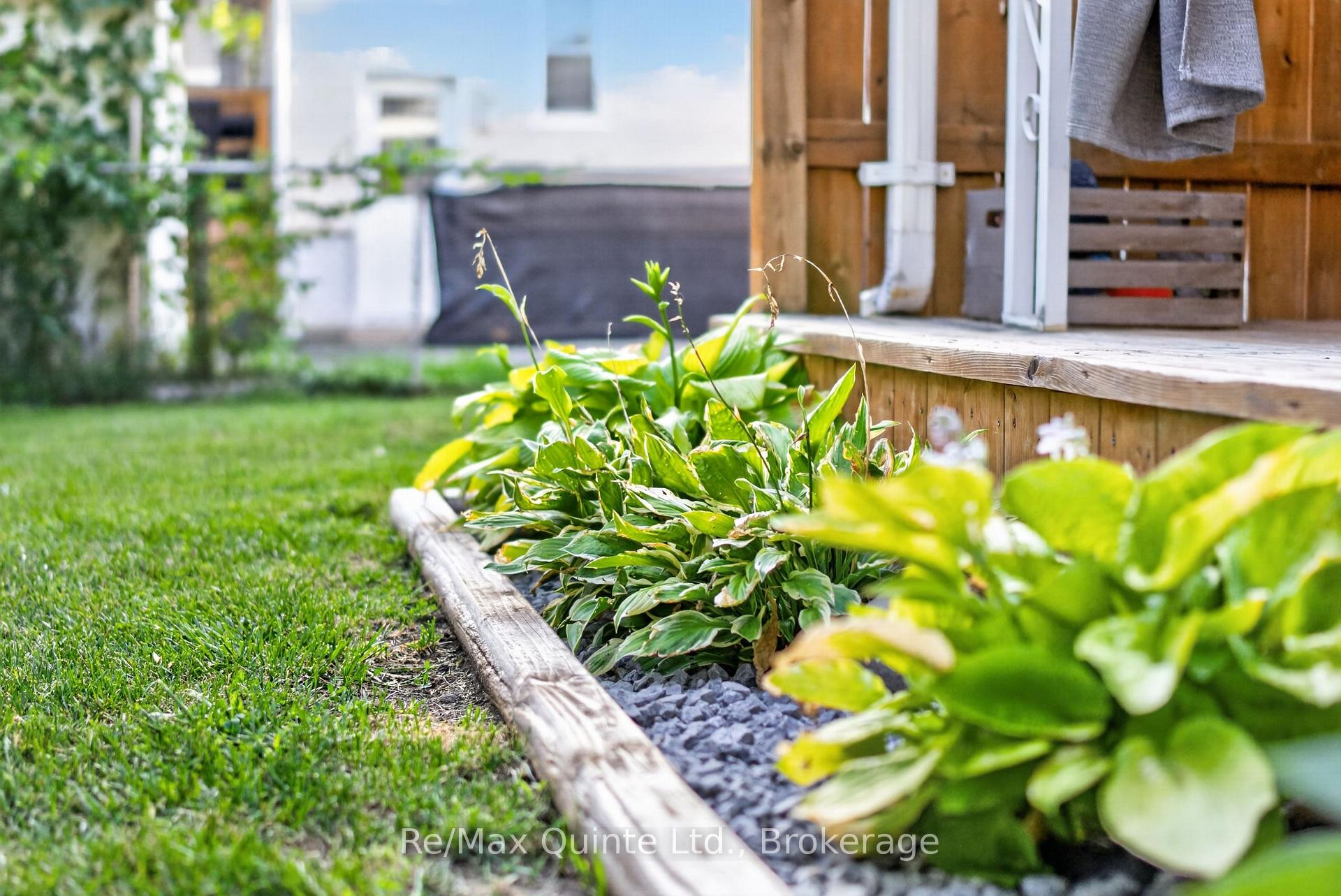 Photo 57 of 5 Wilkins Street, Belleville, Belleville Ward — HOMEH