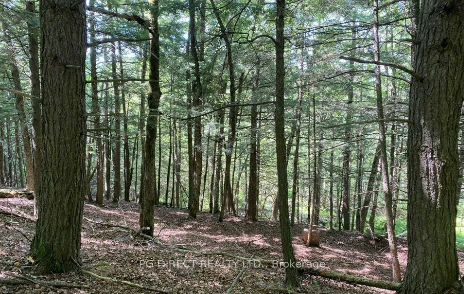 Photo 26 of 3089 Burnstown Road, Horton, Horton Twp — HOMEH
