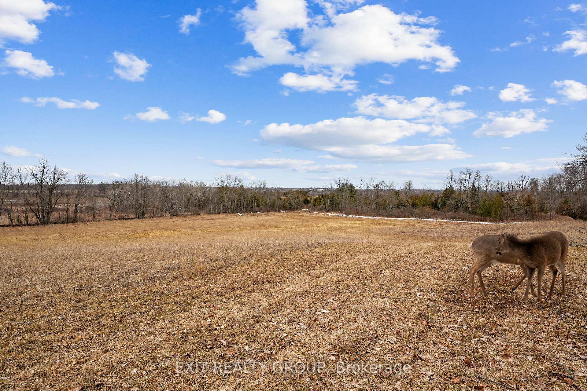 Photo 25 of 4006 Stirling Marmora Road, Stirling-Rawdon, Rawdon Ward — HOMEH