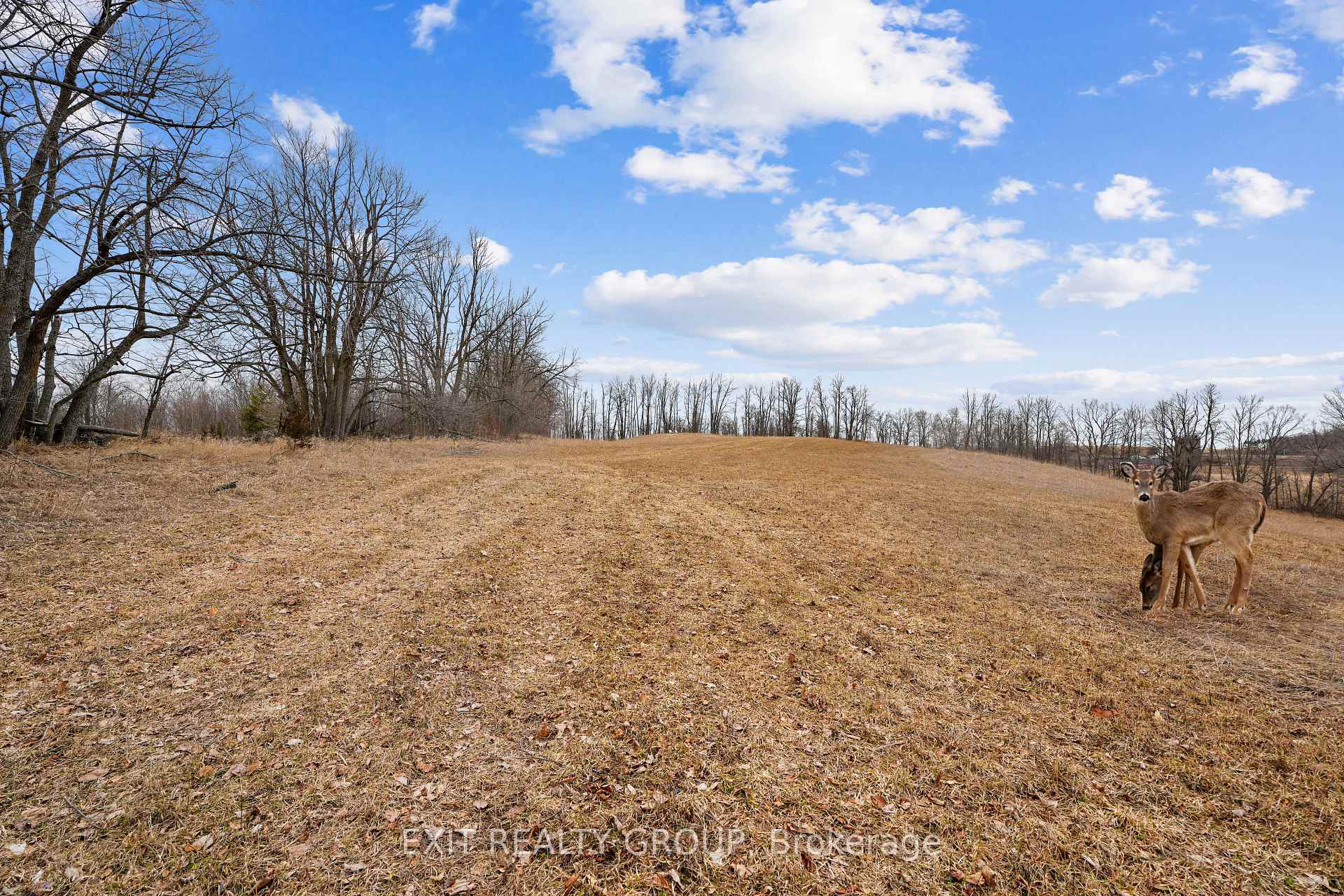 Photo 26 of 4006 Stirling Marmora Road, Stirling-Rawdon, Rawdon Ward — HOMEH