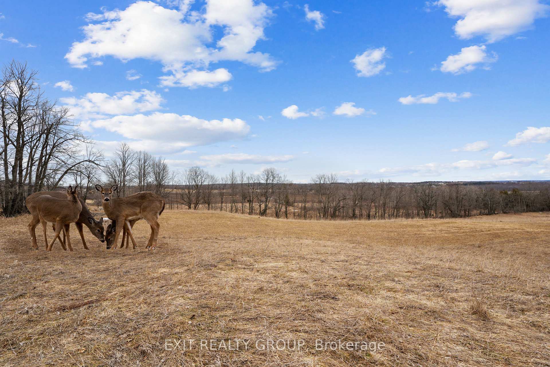Photo 28 of 4006 Stirling Marmora Road, Stirling-Rawdon, Rawdon Ward — HOMEH