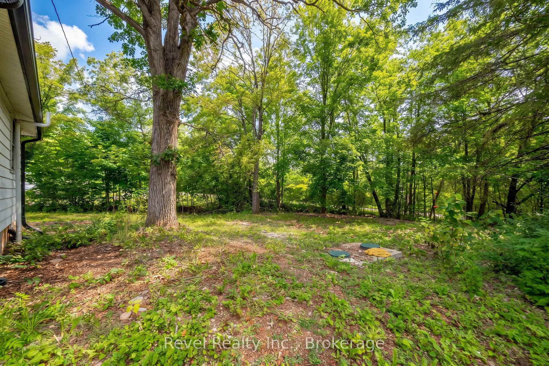 Photo 14 of 4 Gypsy Point Road, Trent Lakes — HOMEH
