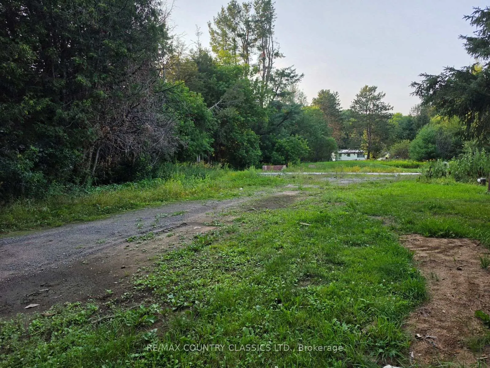 Photo 8 of 92 Paudash School Road, Faraday — HOMEH