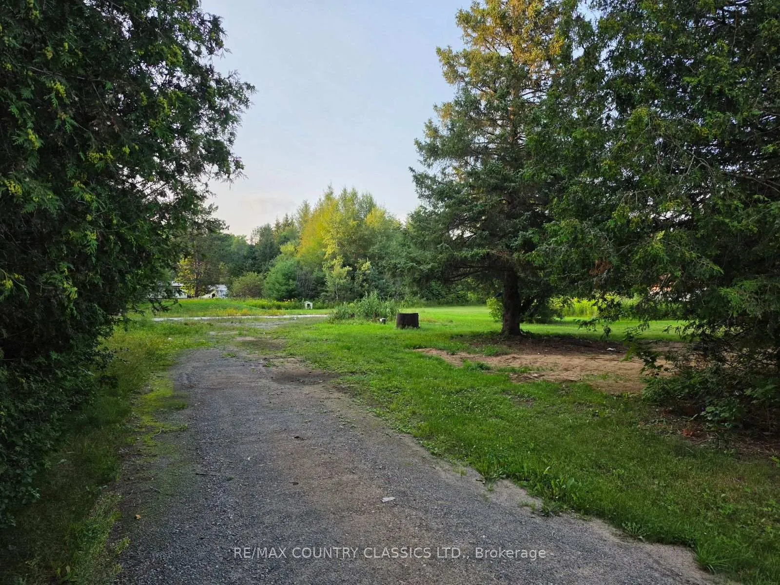 Photo 11 of 92 Paudash School Road, Faraday — HOMEH
