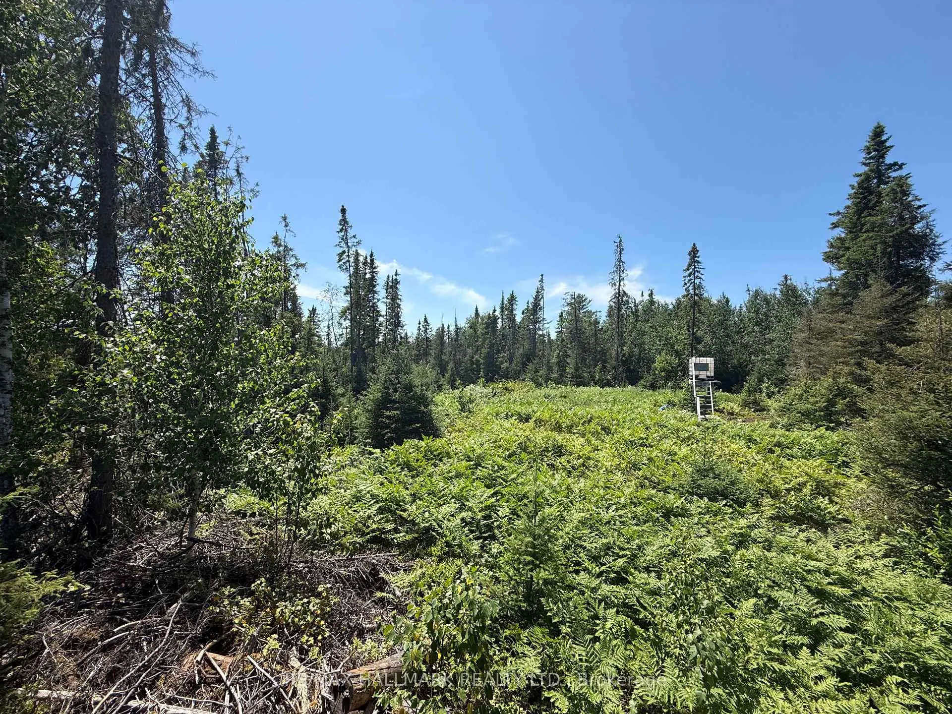 Photo 45 of Highway 539 Freeway, West Nipissing, River Valley — HOMEH