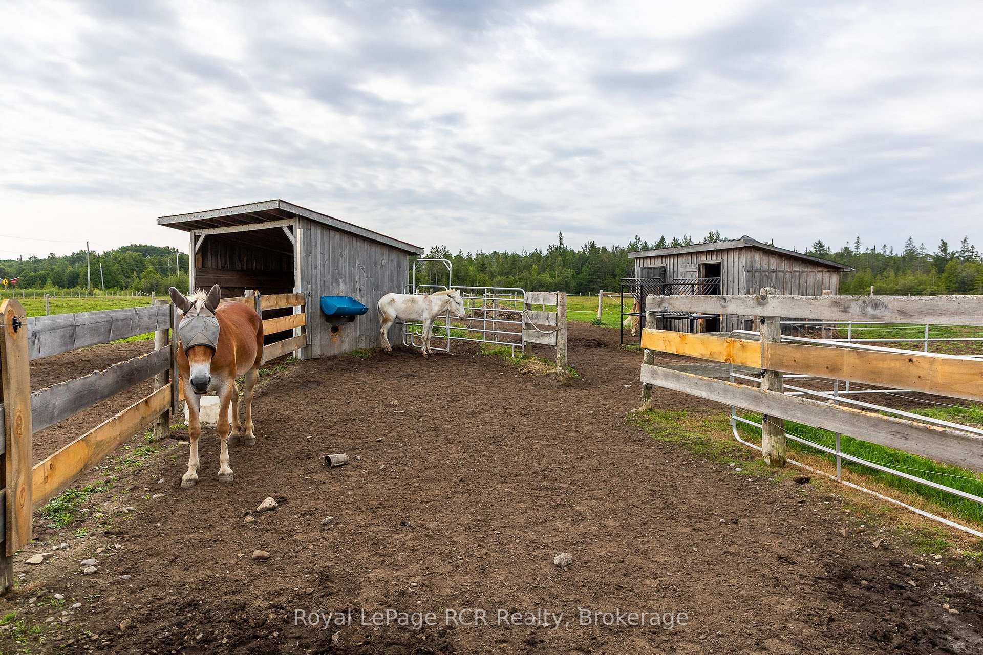 Photo 43 of 1519 West Road, Northern Bruce Peninsula — HOMEH