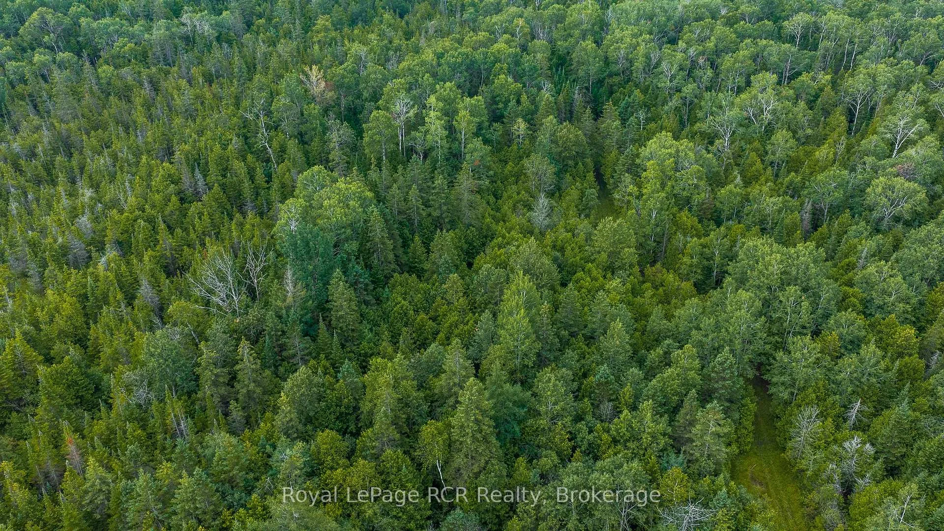 Photo 46 of 1519 West Road, Northern Bruce Peninsula — HOMEH