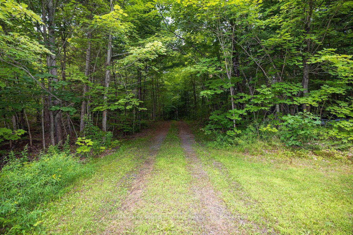 Photo 45 of 1 Five Finger Lane, Whitestone, Hagerman — HOMEH