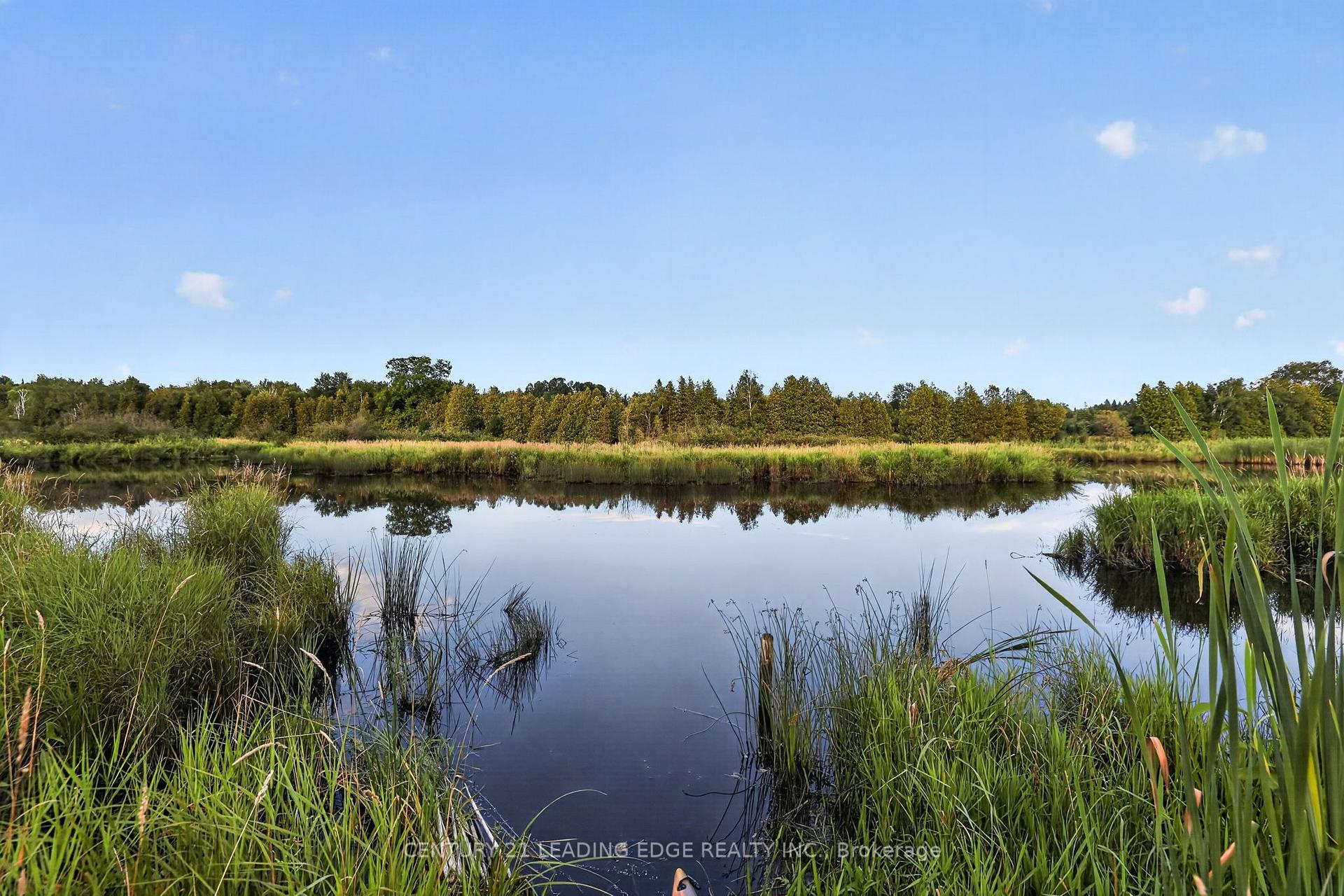 Photo 48 of 23233 Miles Road, Georgina, Baldwin — HOMEH