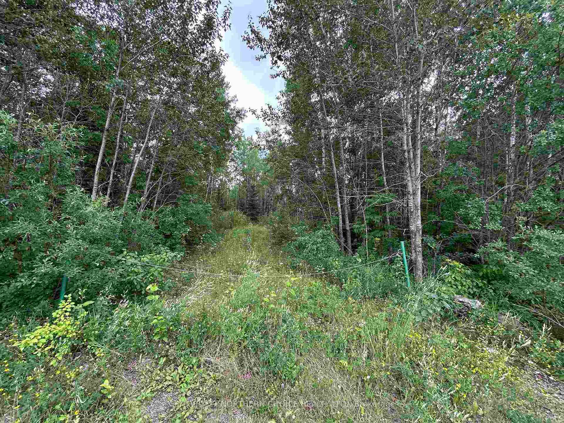 Photo of 905 Frog Creek Road