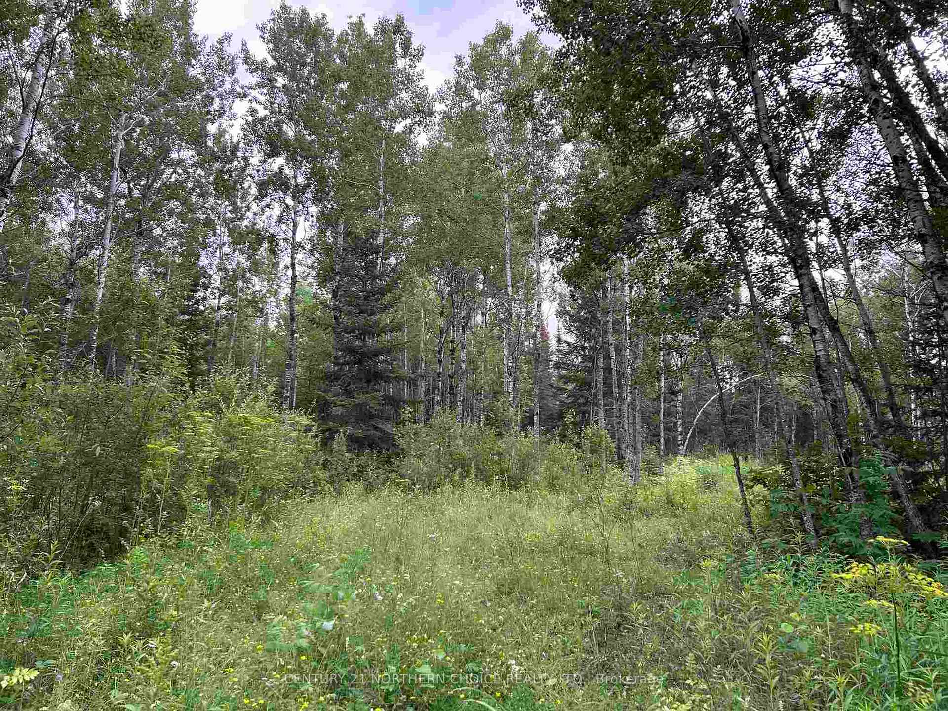Photo 4 of 905 Frog Creek Road, Alberton, TB-401 — HOMEH