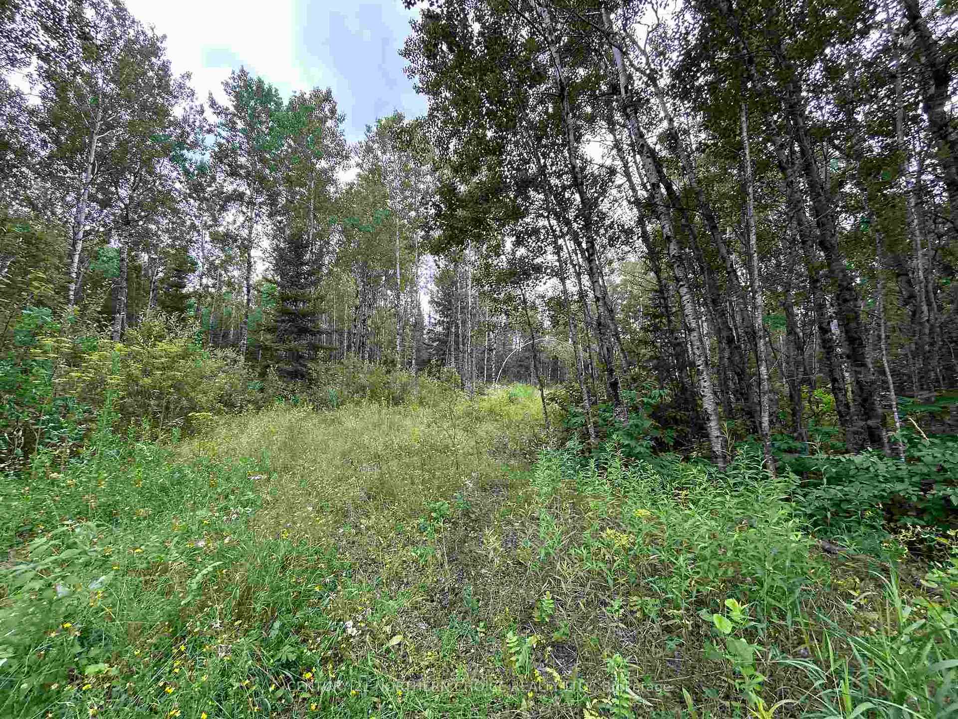 Photo 5 of 905 Frog Creek Road, Alberton, TB-401 — HOMEH