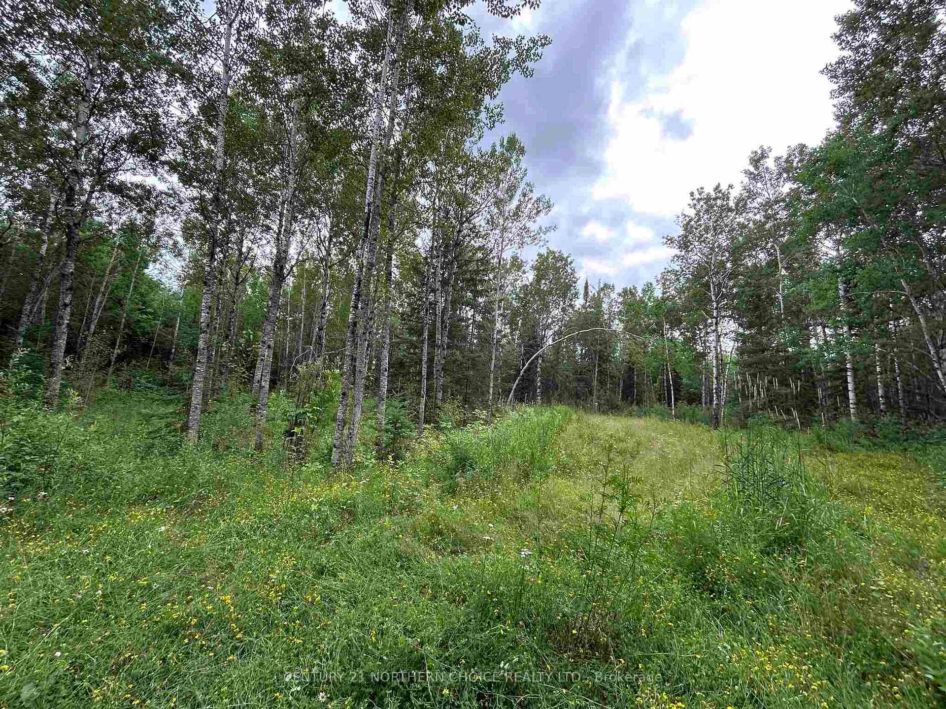 Photo 6 of 905 Frog Creek Road, Alberton, TB-401 — HOMEH