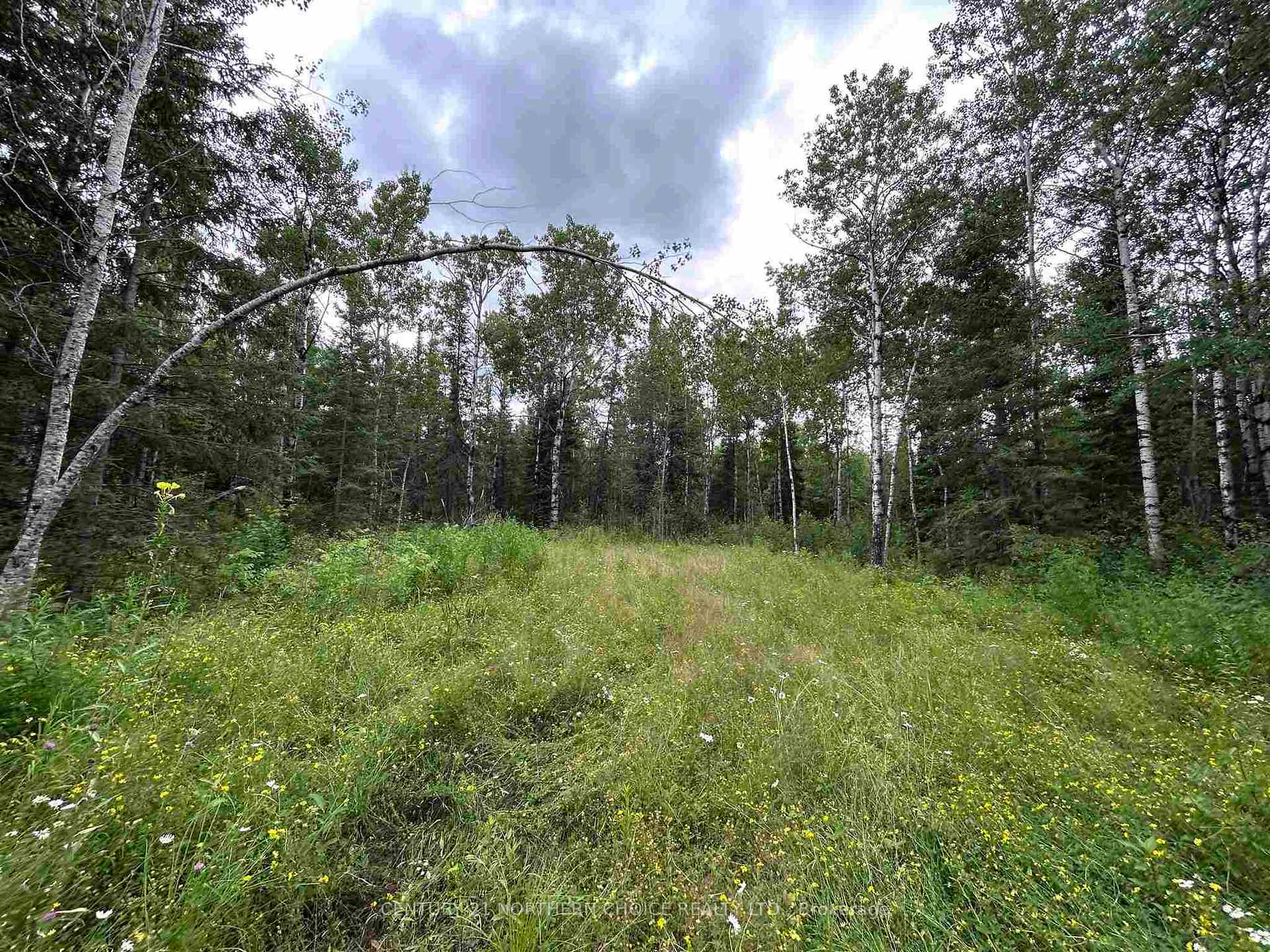 Photo 9 of 905 Frog Creek Road, Alberton, TB-401 — HOMEH