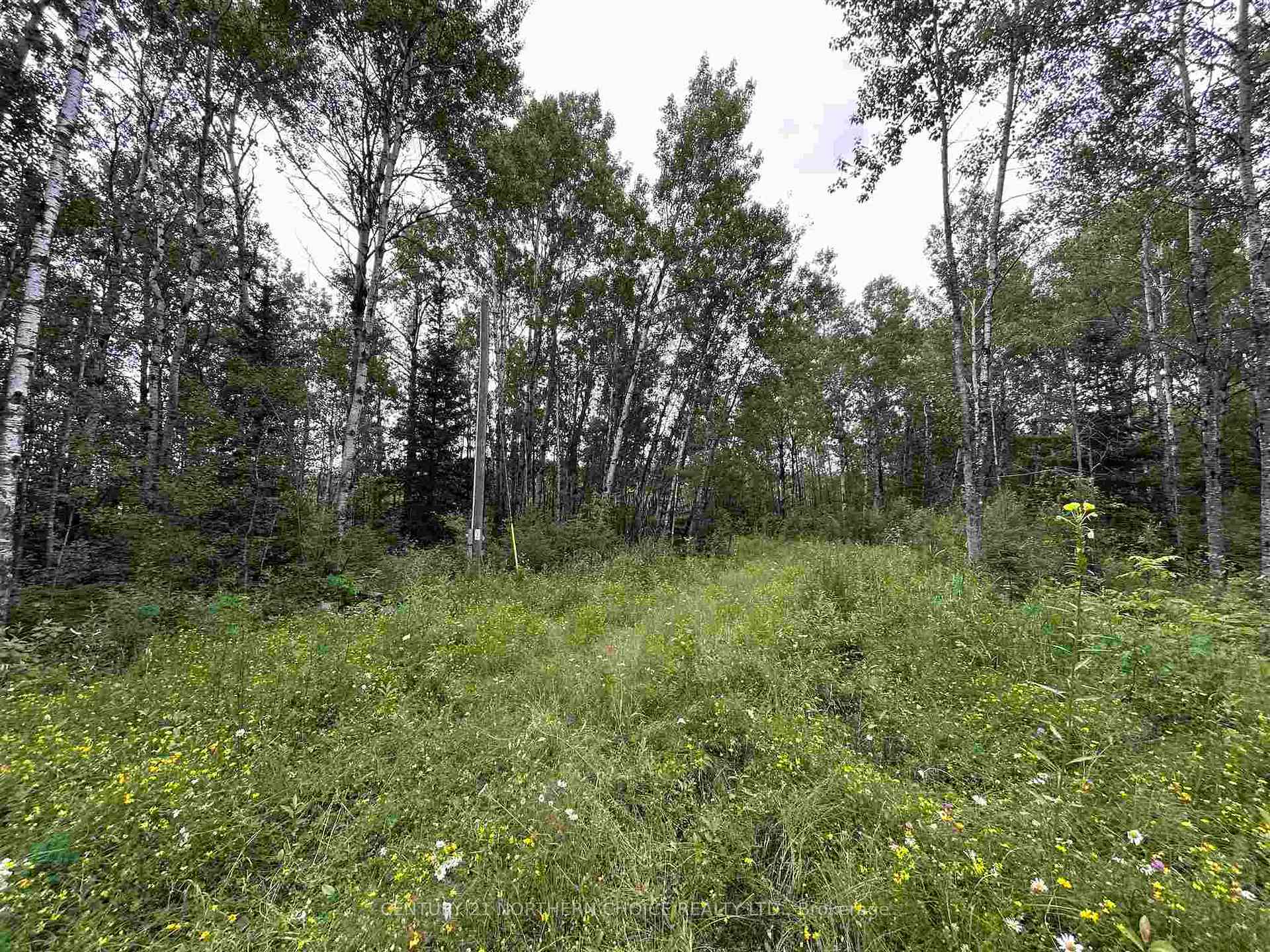 Photo 10 of 905 Frog Creek Road, Alberton, TB-401 — HOMEH