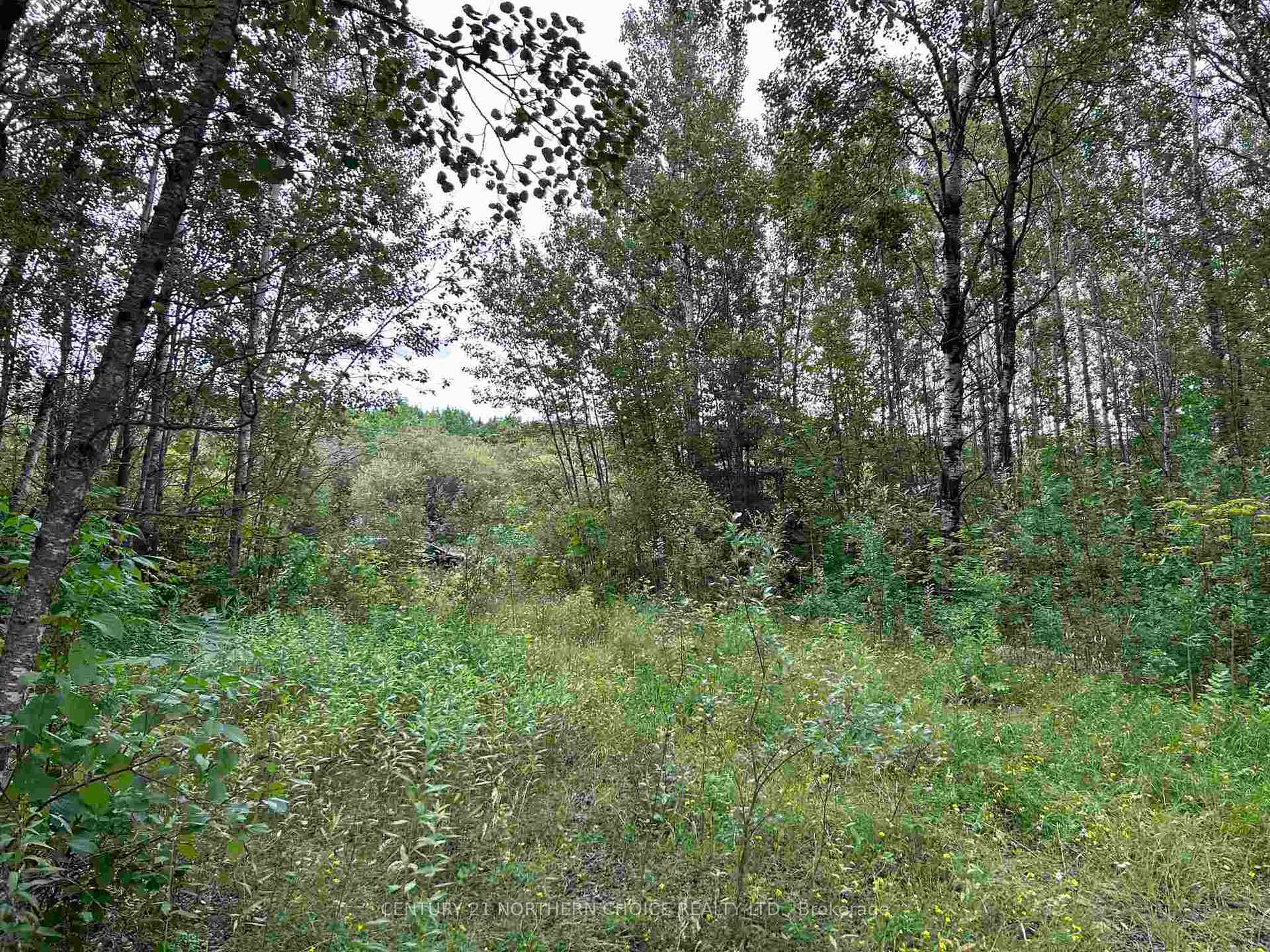 Photo 11 of 905 Frog Creek Road, Alberton, TB-401 — HOMEH