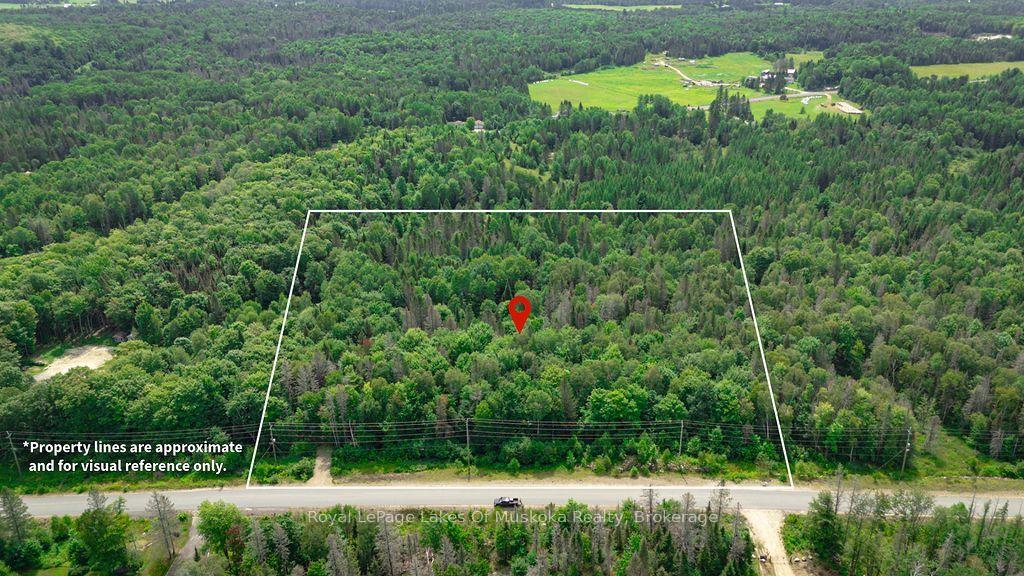 Photo of 167 North Pickerel Lake Road