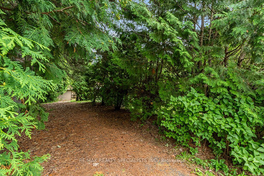Photo 6 of Lot 34 Riga Road, Essa, Rural Essa — HOMEH