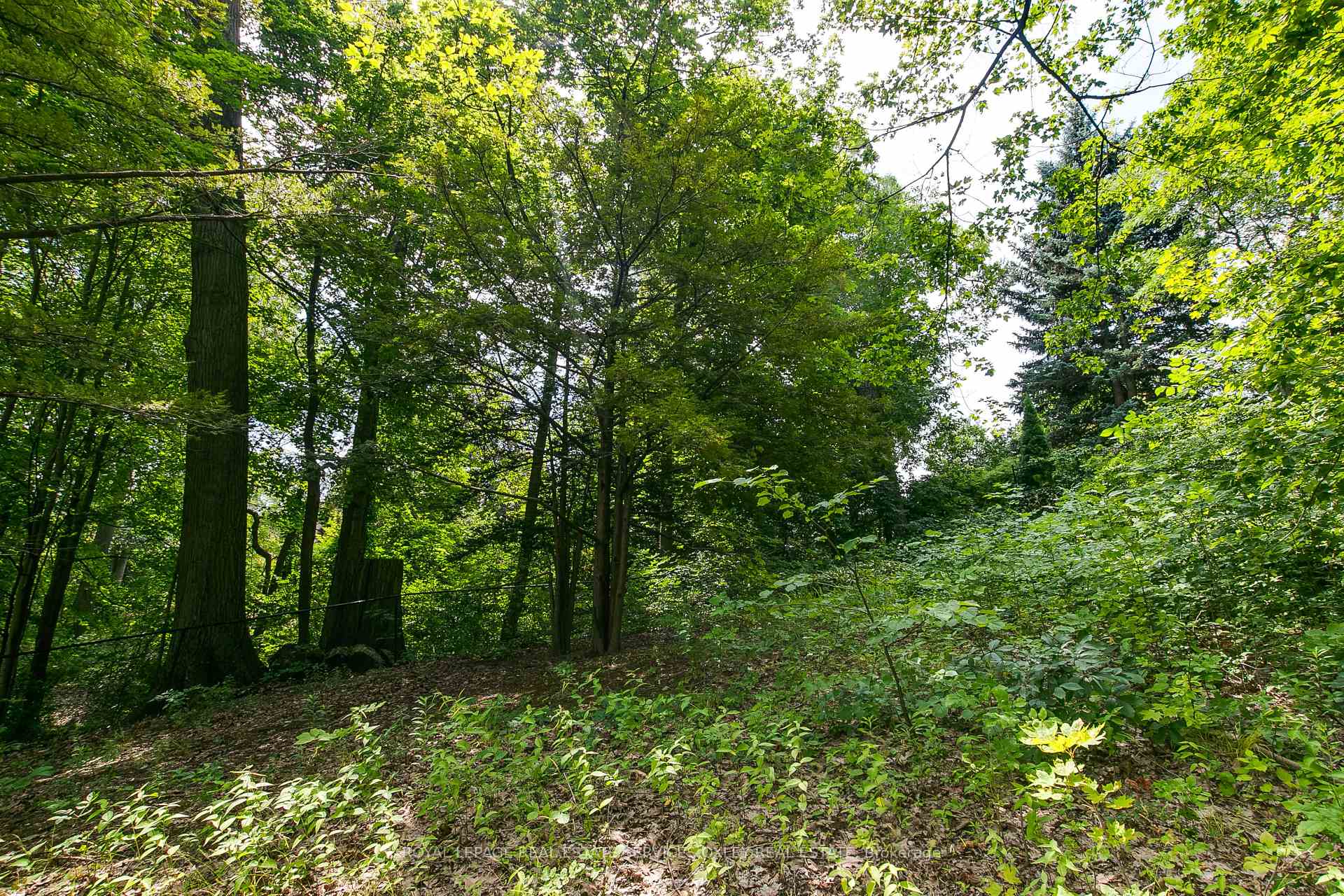 Photo 43 of 21 Astley Avenue, Toronto, Rosedale-Moore Park — HOMEH
