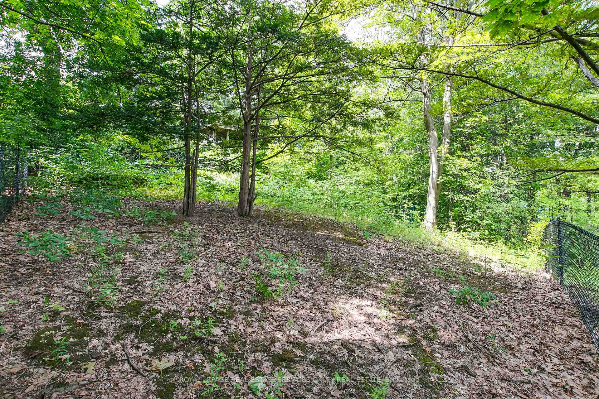 Photo 44 of 21 Astley Avenue, Toronto, Rosedale-Moore Park — HOMEH