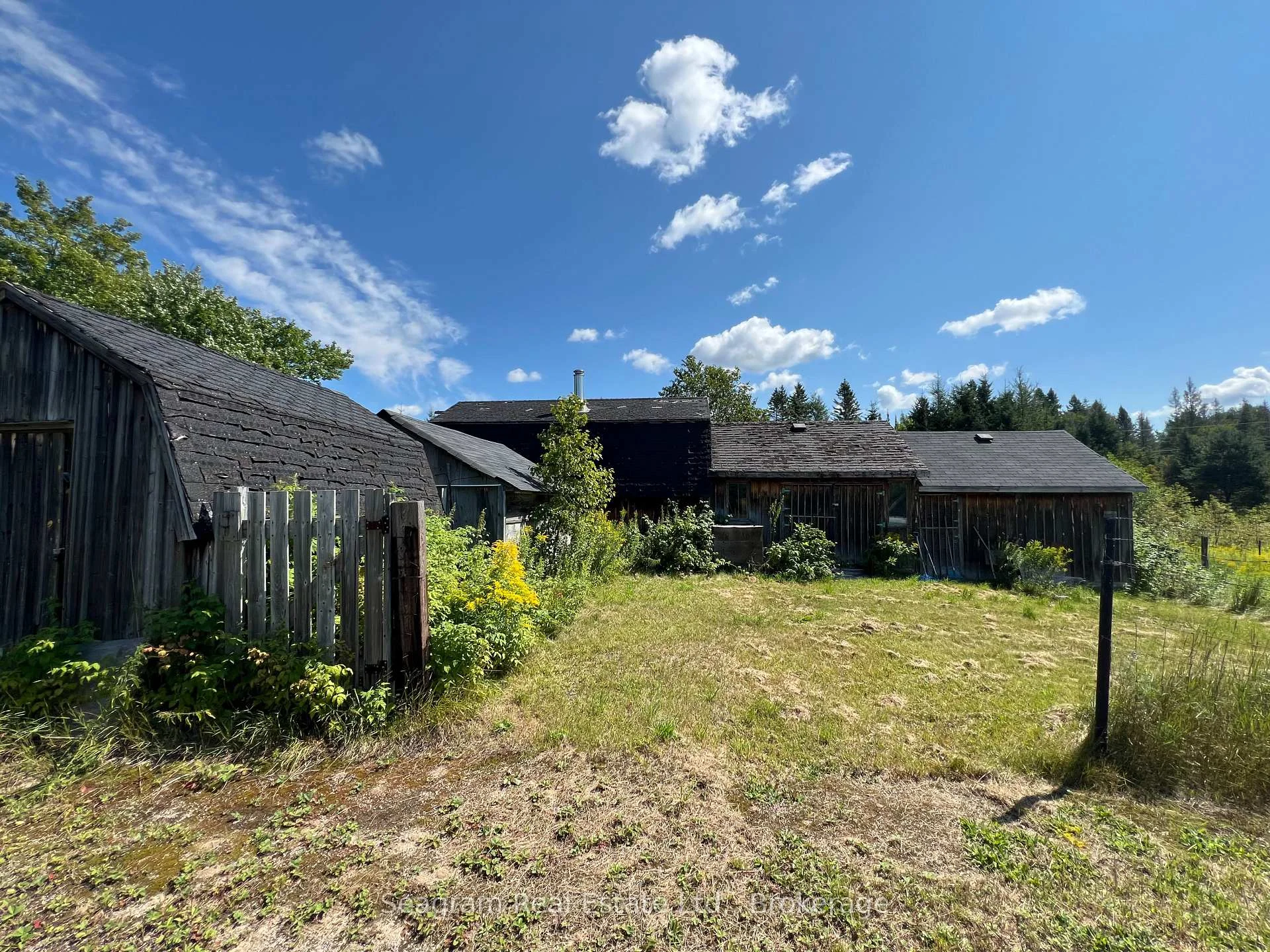 Photo 31 of 1308 Albert Street, Machar — HOMEH