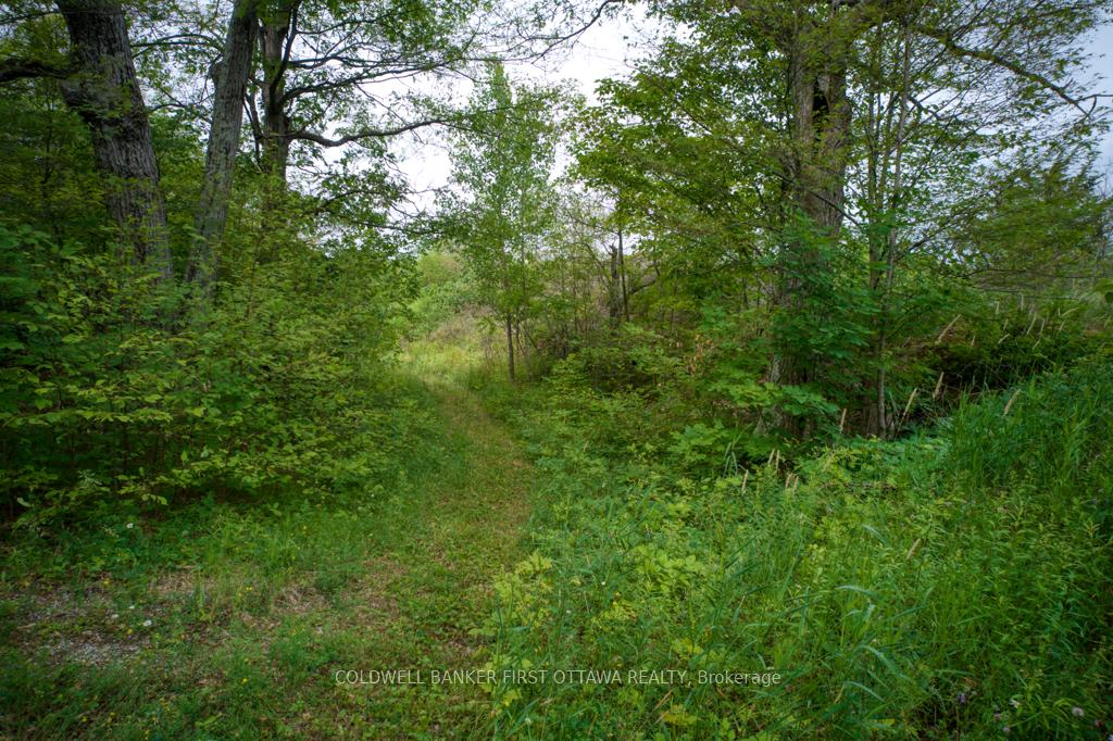 Photo 4 of 16 Grey Owl Road, Frontenac, Frontenac South — HOMEH