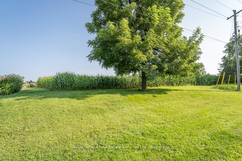 Photo 11 of 361 Robinson Road, Brant, Burford — HOMEH