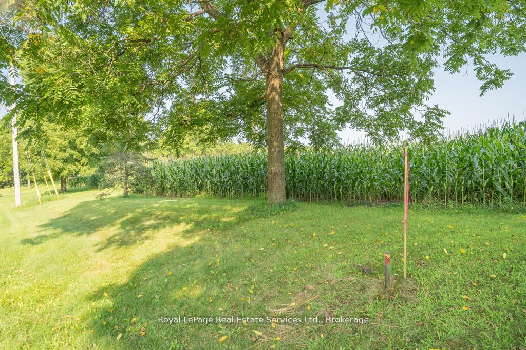 Photo 12 of 361 Robinson Road, Brant, Burford — HOMEH