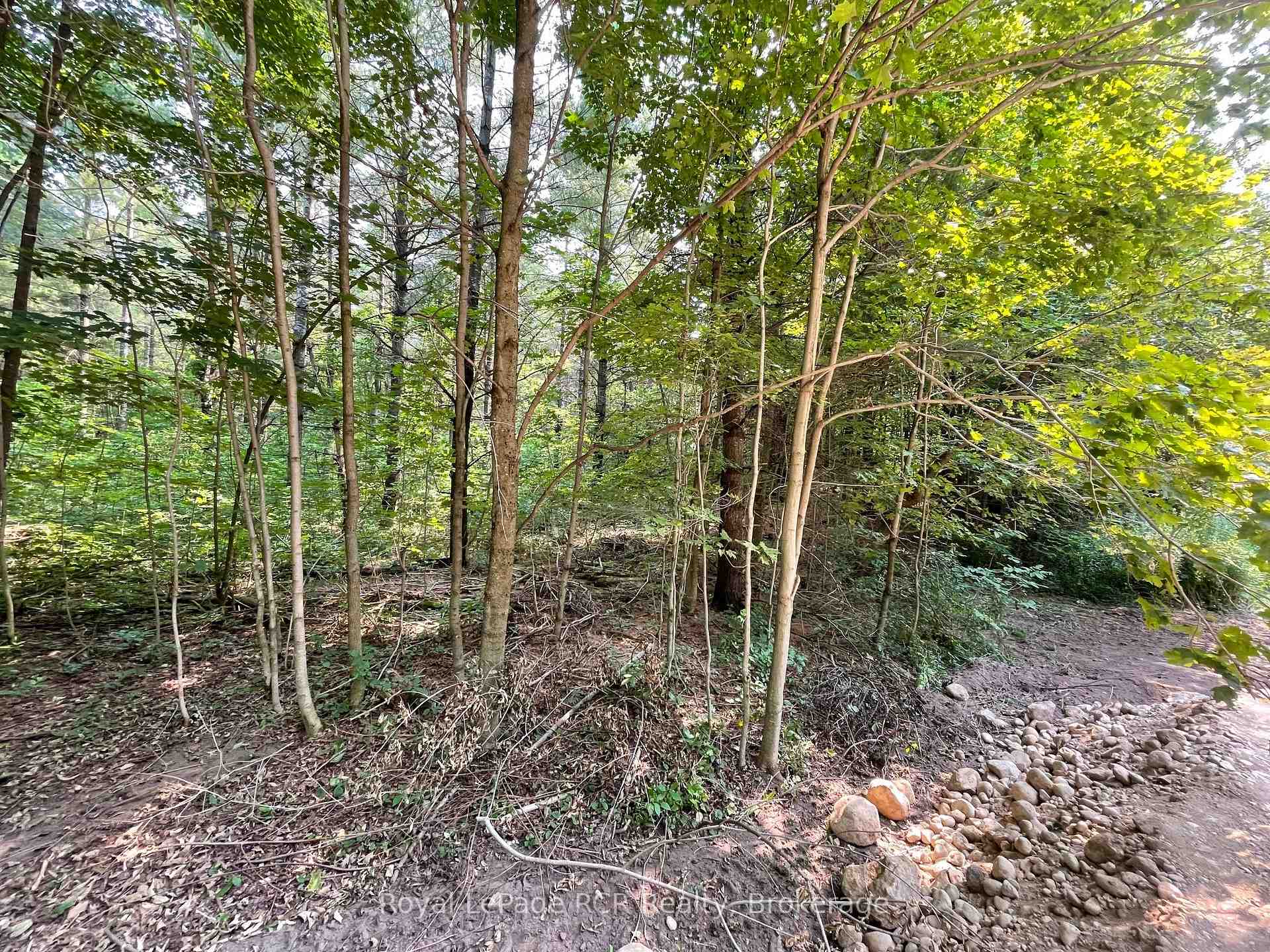 Photo 8 of 263625 Southgate Rd 26, Southgate — HOMEH