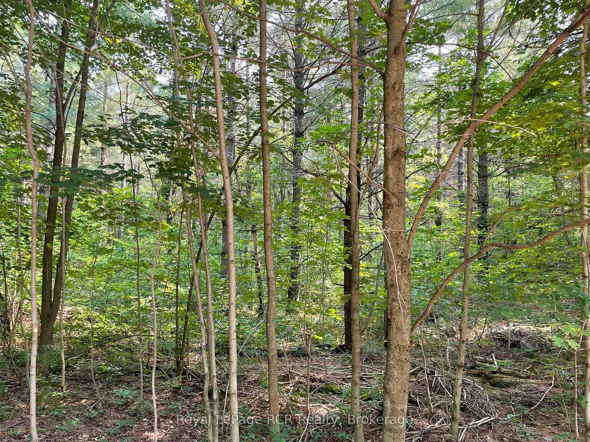 Photo 9 of 263625 Southgate Rd 26, Southgate — HOMEH