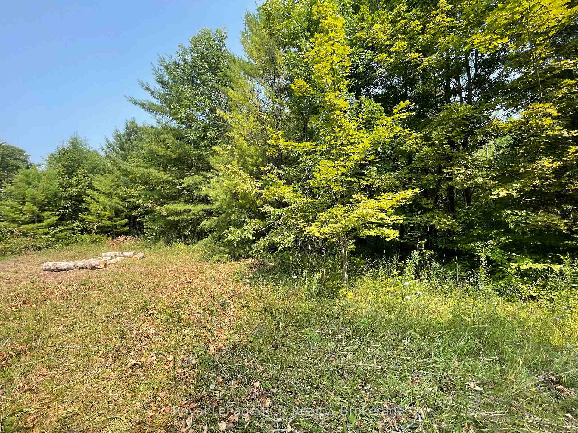 Photo 8 of 263631 Southgate Rd 26, Southgate — HOMEH