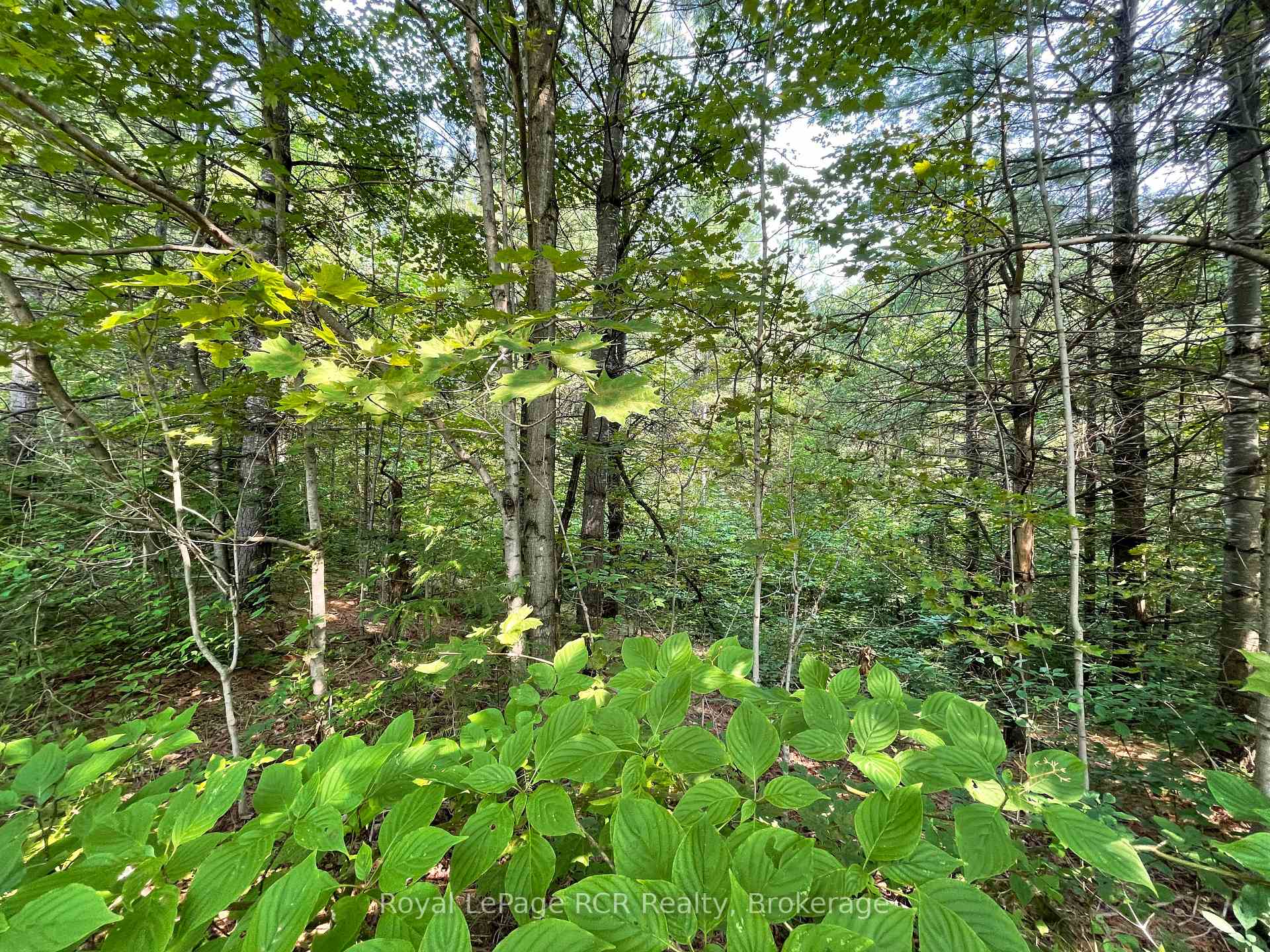 Photo 9 of 263631 Southgate Rd 26, Southgate — HOMEH