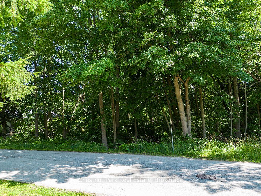 Photo 11 of 227 Eliza Street, Meaford — HOMEH