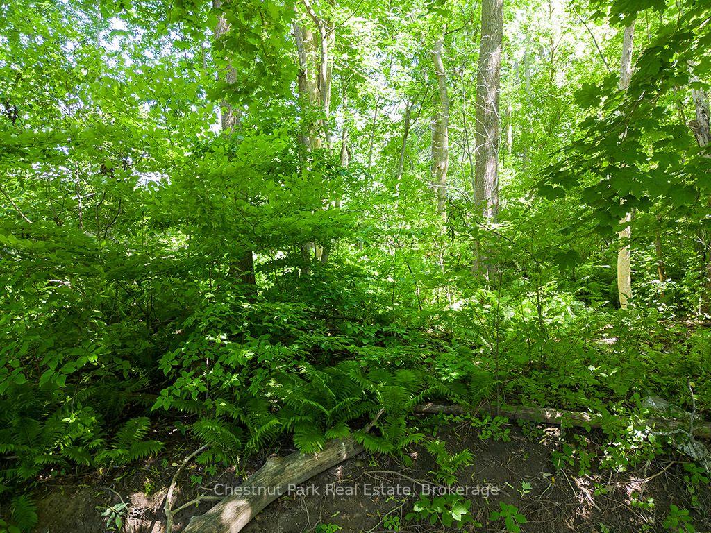 Photo 14 of 227 Eliza Street, Meaford — HOMEH