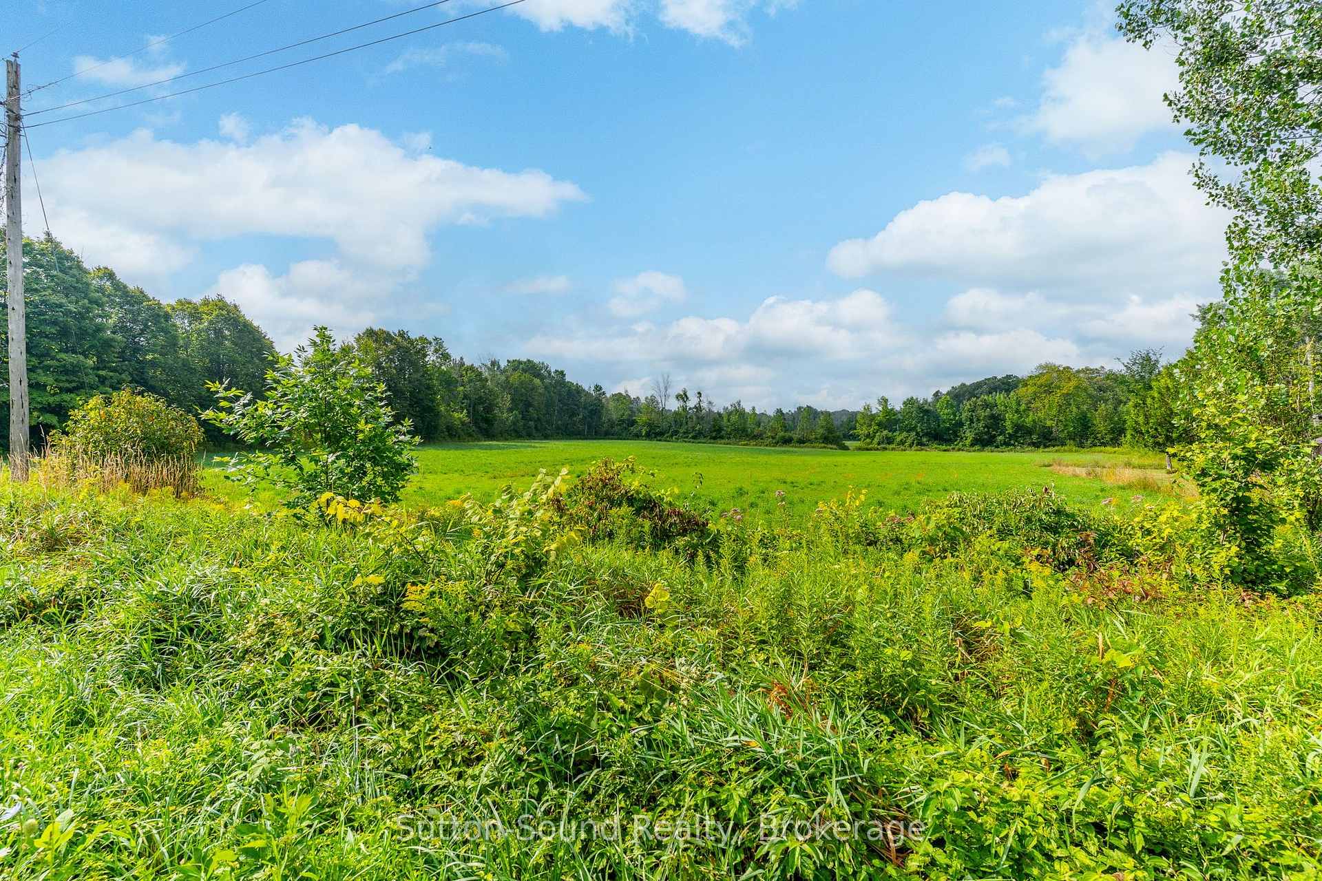 Photo 6 of PT LT 35-36 Centre Diagonal Road, South Bruce Peninsula — HOMEH