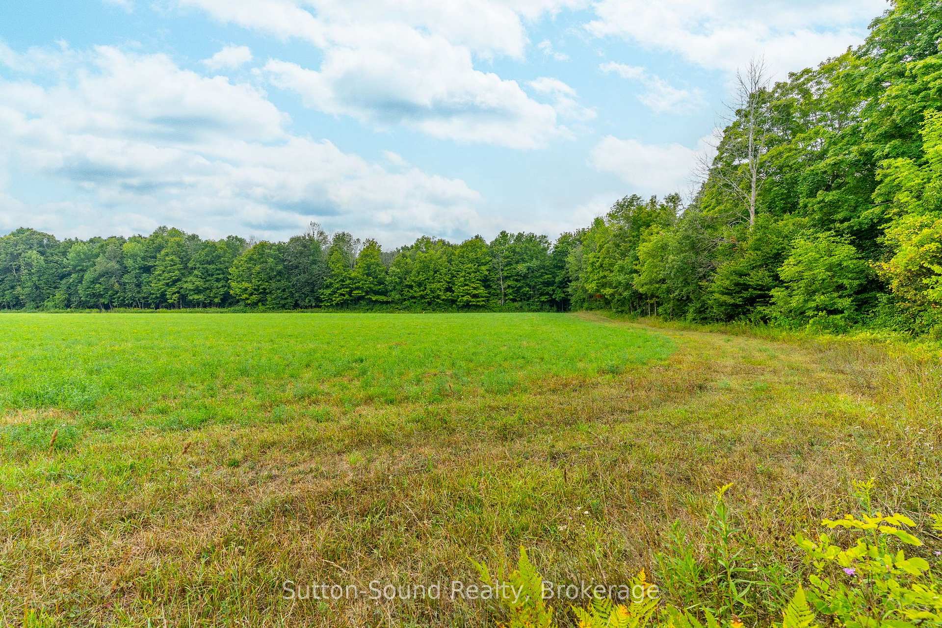 Photo 7 of PT LT 35-36 Centre Diagonal Road, South Bruce Peninsula — HOMEH