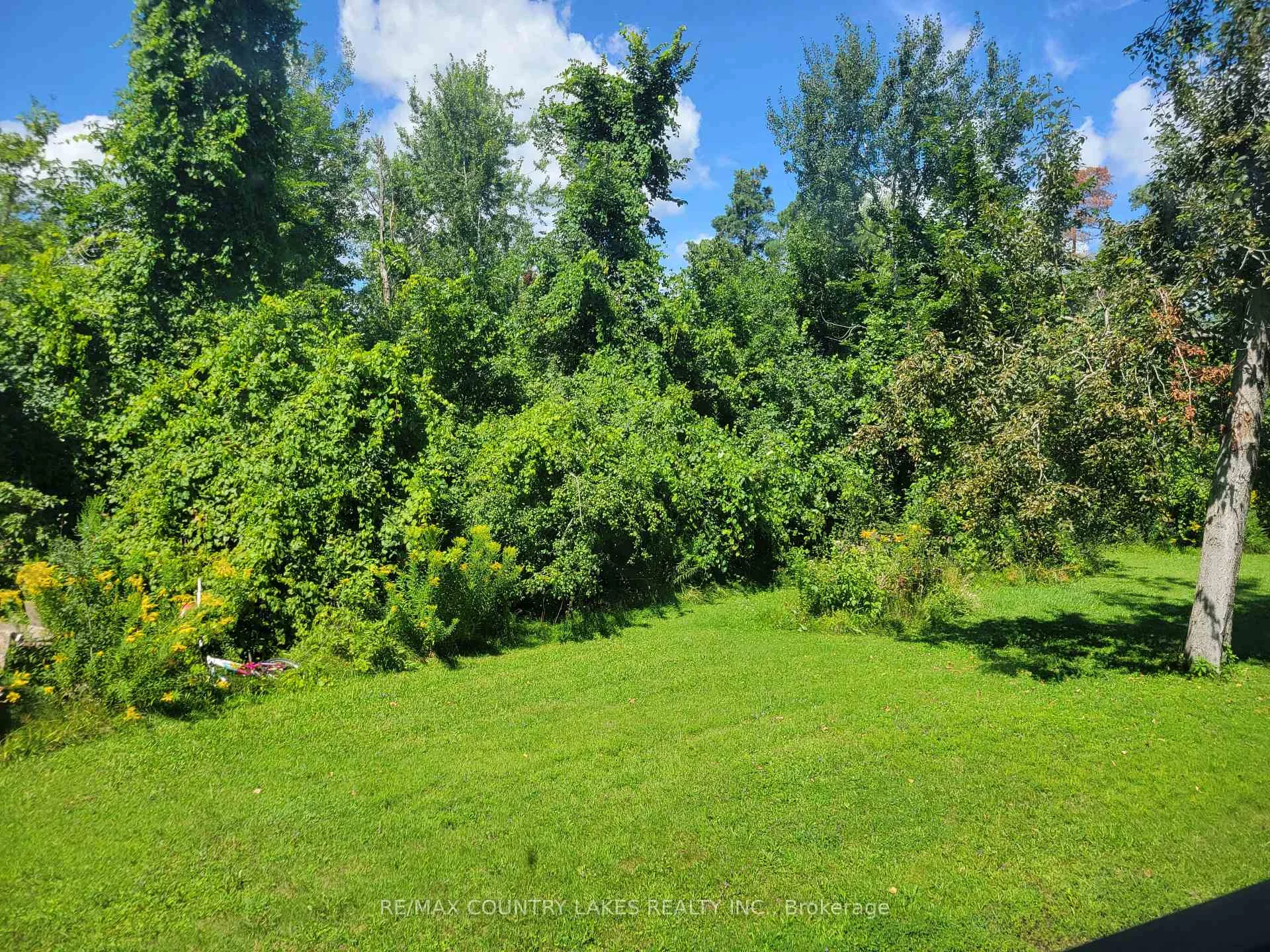 Photo 42 of 4 Macpherson Crescent, Kawartha Lakes, Carden — HOMEH
