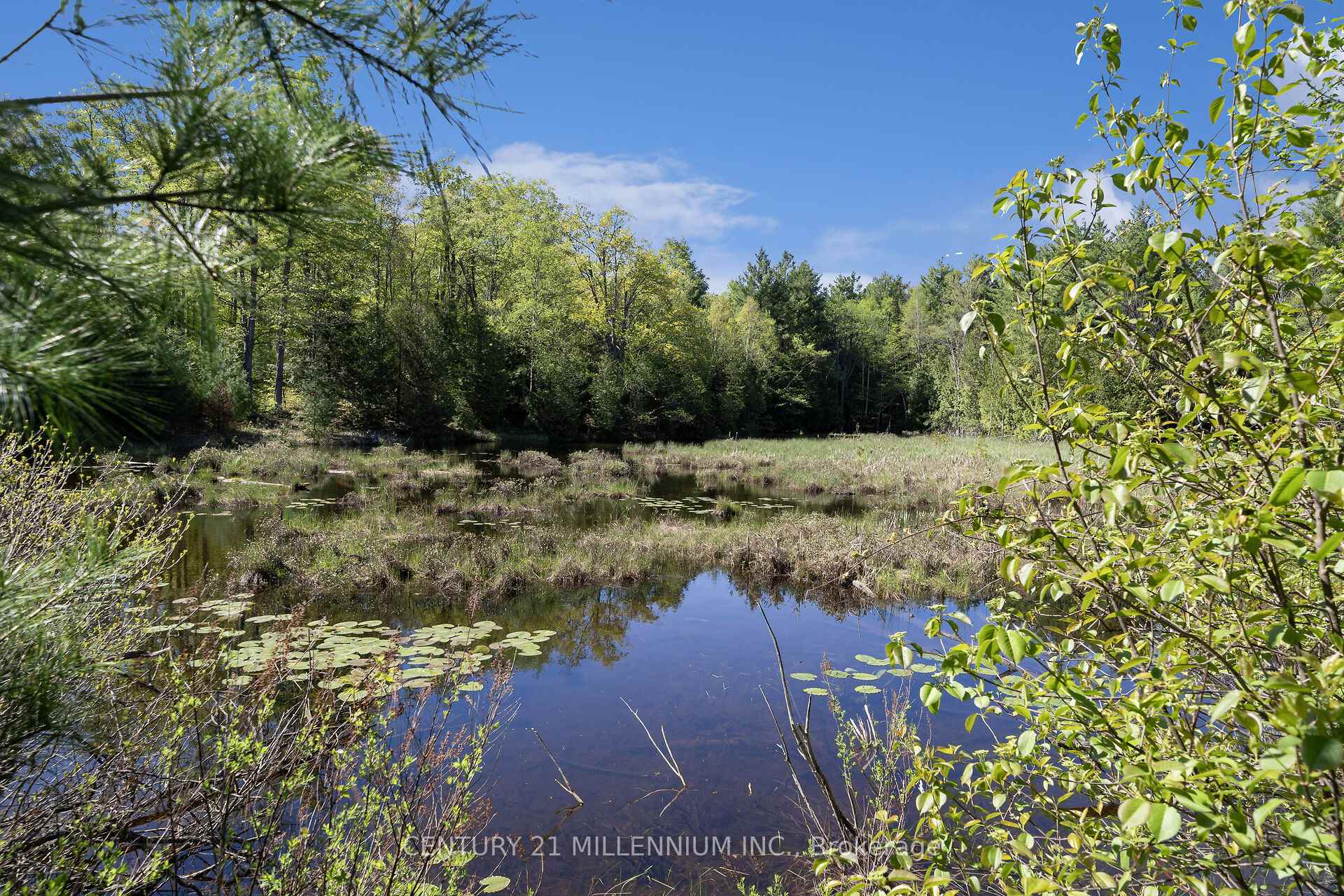 Photo 49 of 5204 Ninth Line, Erin, Rural Erin — HOMEH