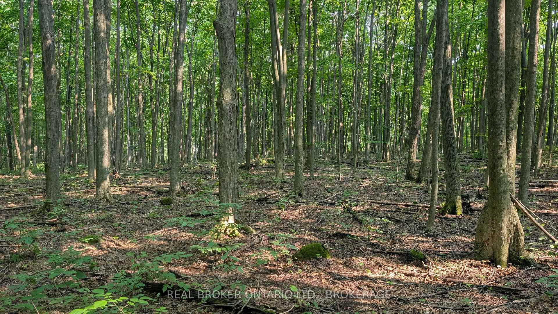 Photo 2 of Lot Concession 10 Road, South Glengarry, South Glengarry (Lancaster) Twp — HOMEH