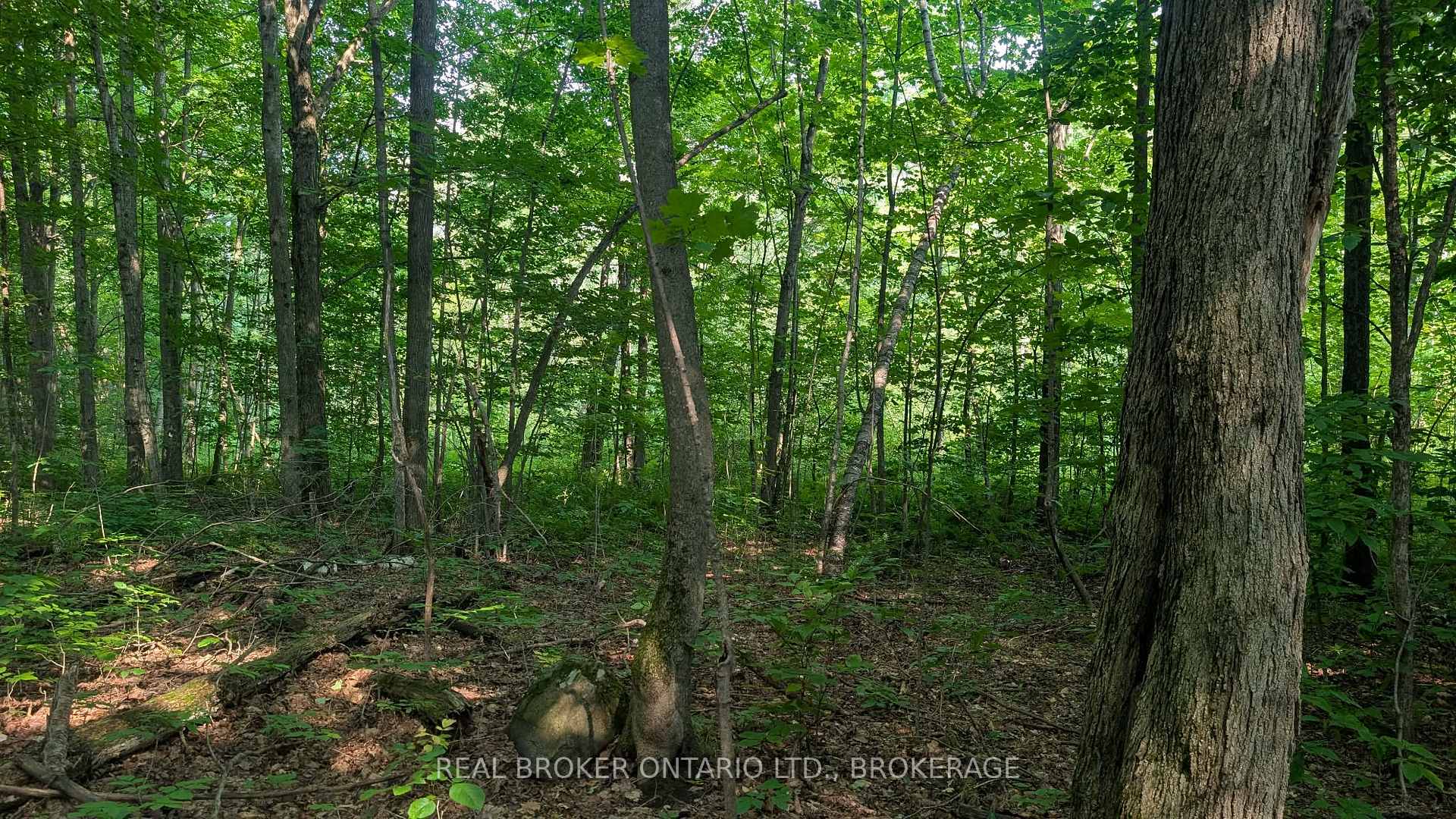 Photo 3 of Lot Concession 10 Road, South Glengarry, South Glengarry (Lancaster) Twp — HOMEH