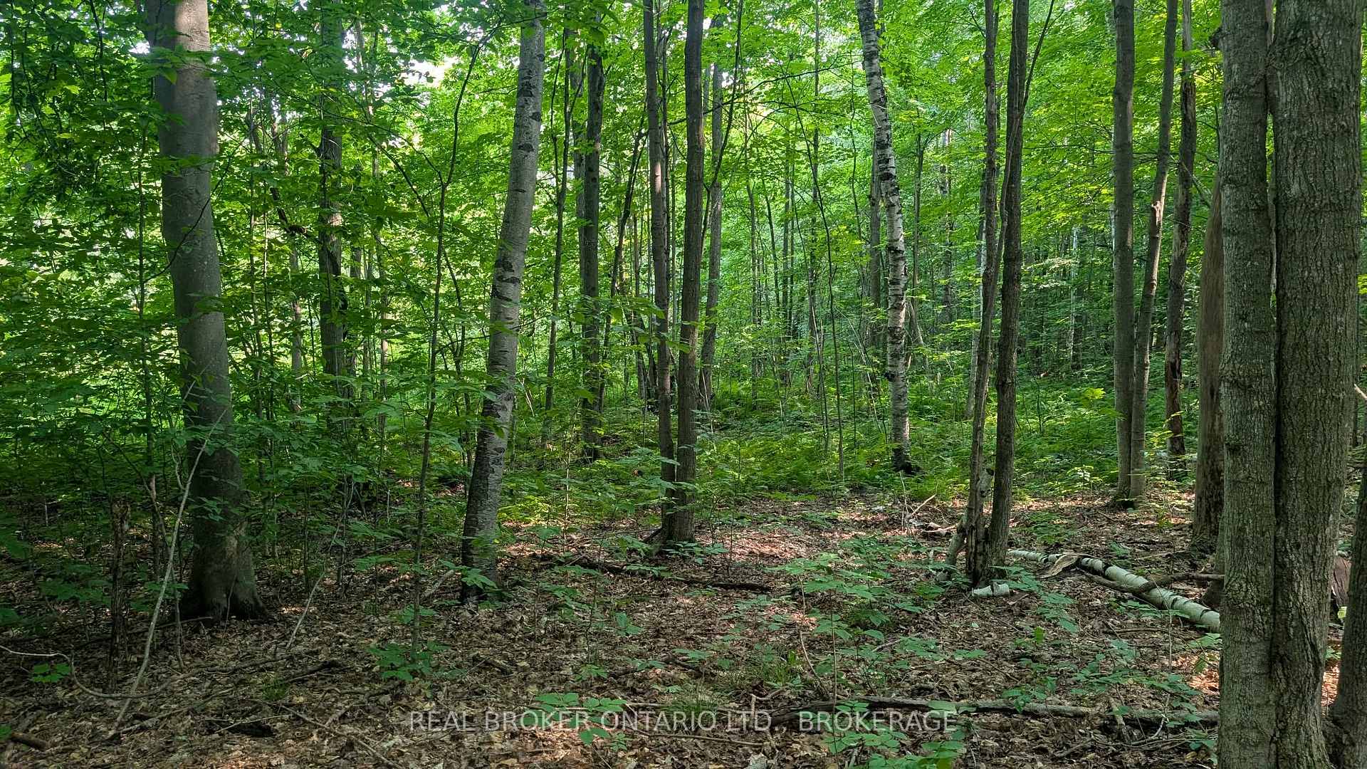 Photo 4 of Lot Concession 10 Road, South Glengarry, South Glengarry (Lancaster) Twp — HOMEH