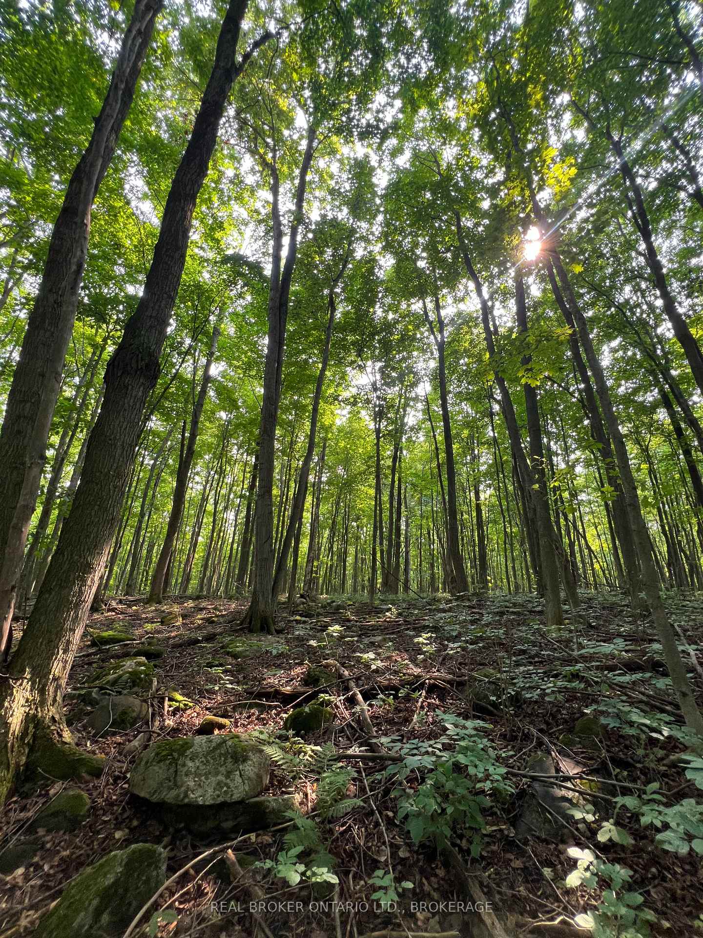 Photo 6 of Lot Concession 10 Road, South Glengarry, South Glengarry (Lancaster) Twp — HOMEH