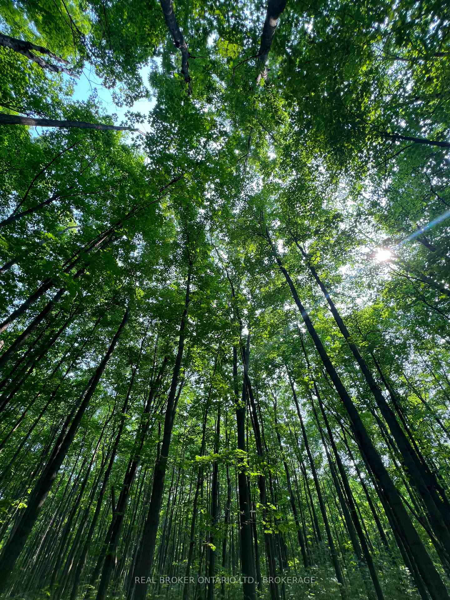 Photo 7 of Lot Concession 10 Road, South Glengarry, South Glengarry (Lancaster) Twp — HOMEH