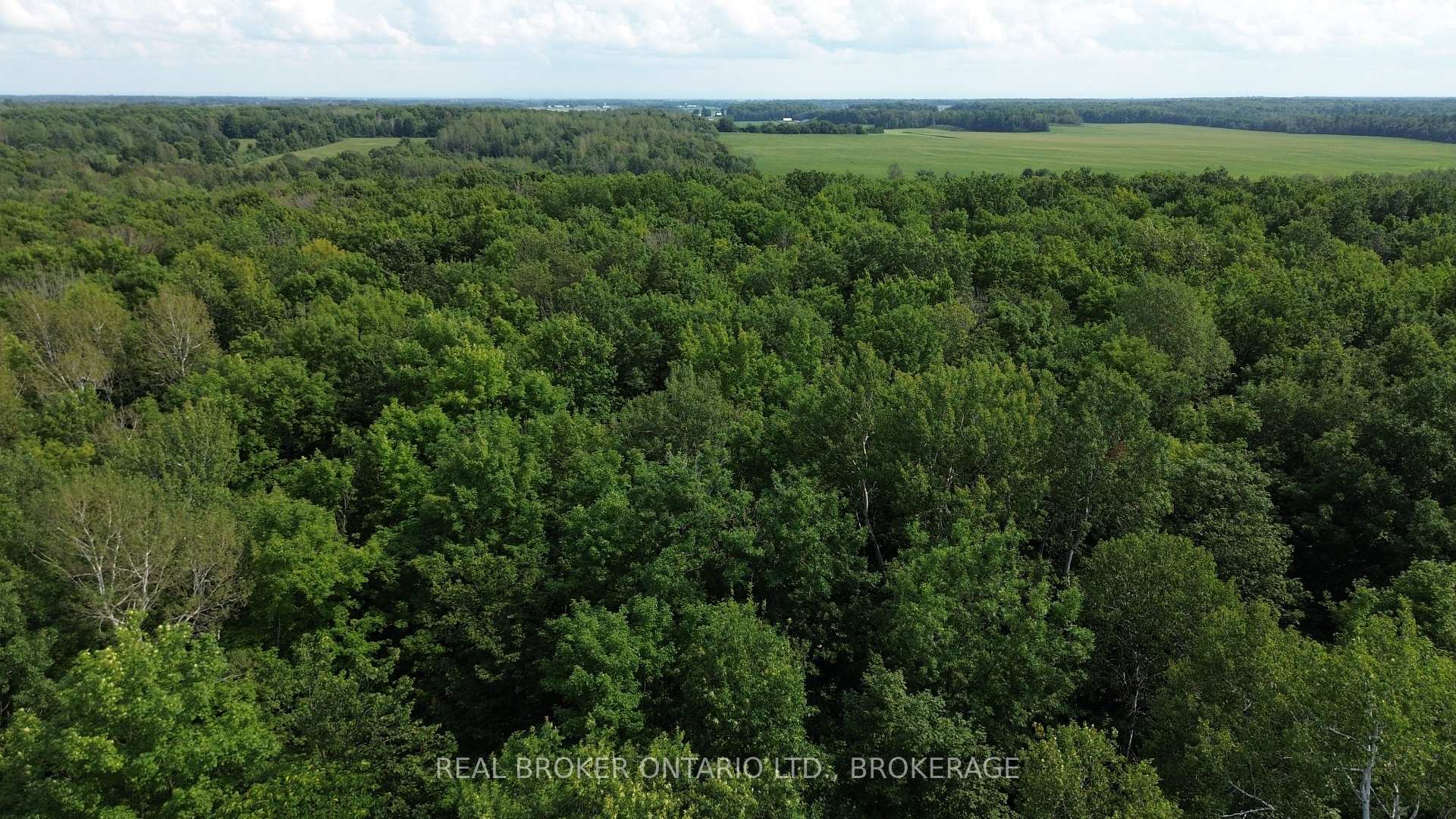 Photo 8 of Lot Concession 10 Road, South Glengarry, South Glengarry (Lancaster) Twp — HOMEH