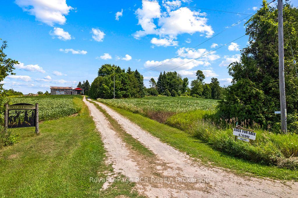 Photo 6 of 135347 8 Concession, Chatsworth — HOMEH
