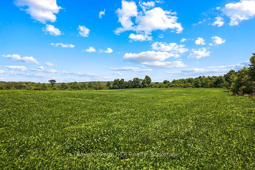 Photo 41 of 135347 8 Concession, Chatsworth — HOMEH