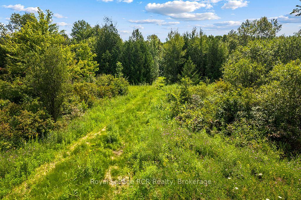 Photo 50 of 135347 8 Concession, Chatsworth — HOMEH