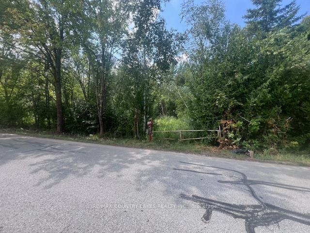 Photo 5 of 122-123 Riverview Beach Road, Georgina, Pefferlaw — HOMEH
