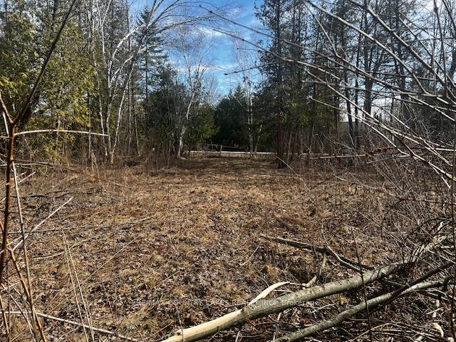 Photo 8 of 122-123 Riverview Beach Road, Georgina, Pefferlaw — HOMEH